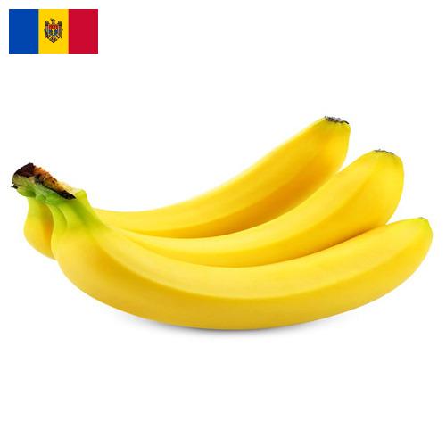 Бананы из Молдовы, Республики