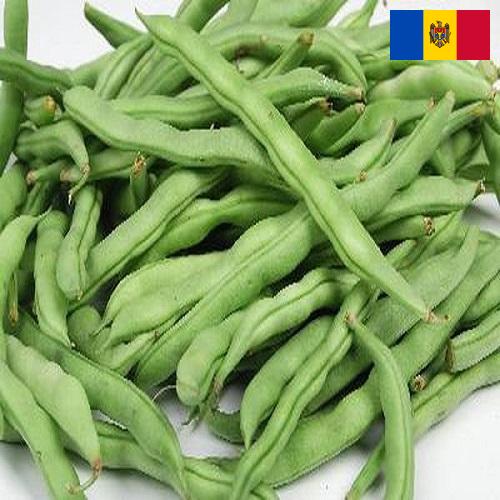 Бобы из Молдовы, Республики