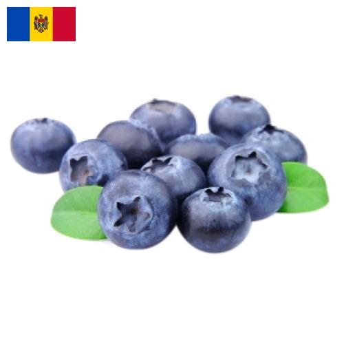 Черника из Молдовы, Республики