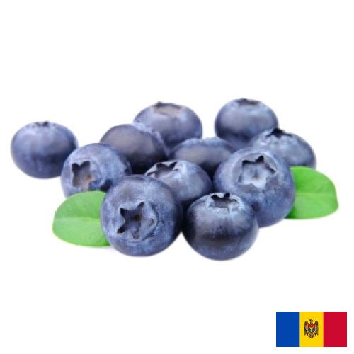 Голубика из Молдовы, Республики