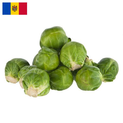 Капуста брюссельская из Молдовы, Республики