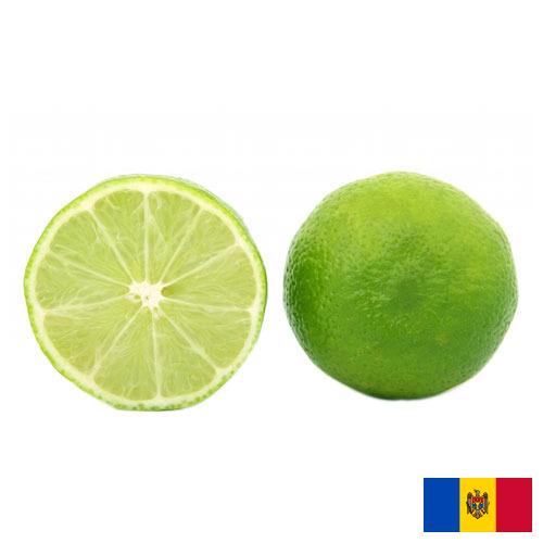 лайм из Молдовы, Республики