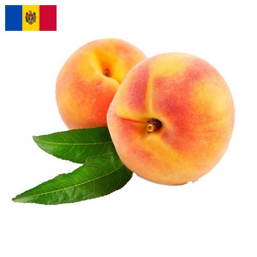 Персики из Молдовы, Республики