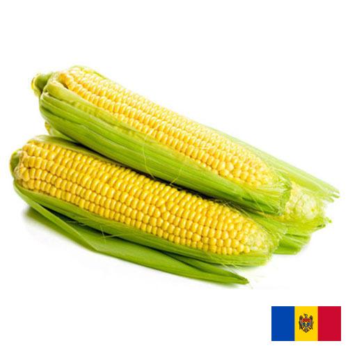 Сахарная кукуруза из Молдовы, Республики
