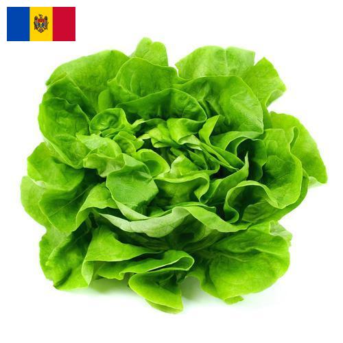 салат из Молдовы, Республики