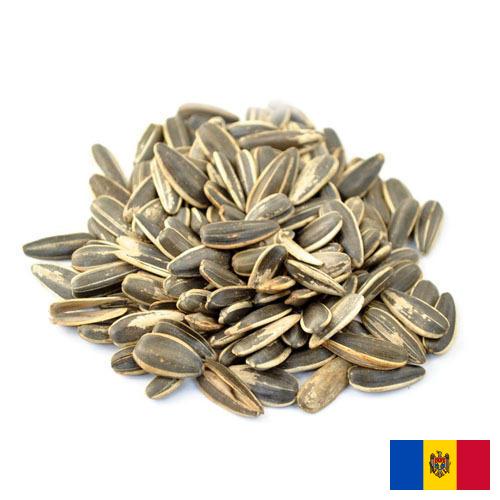 Семена подсолнечника из Молдовы, Республики