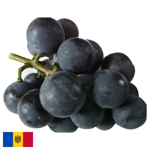 виноград столовый из Молдовы, Республики
