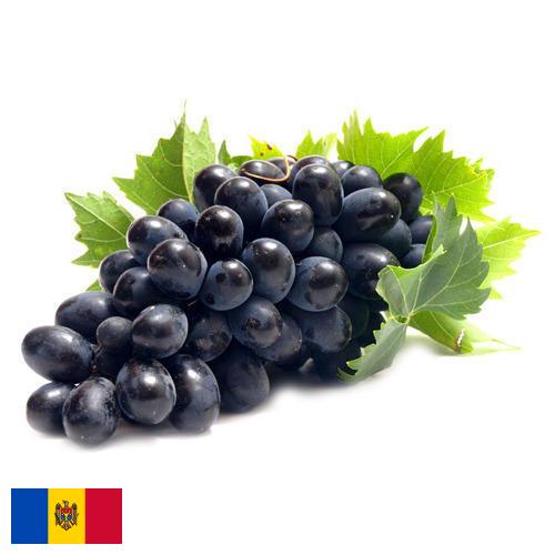 Виноград из Молдовы, Республики
