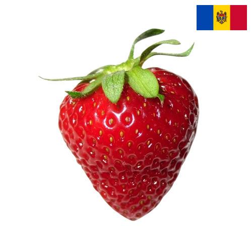 Земляника из Молдовы, Республики