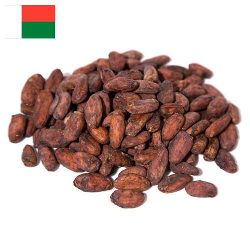 какао бобы из Мадагаскара