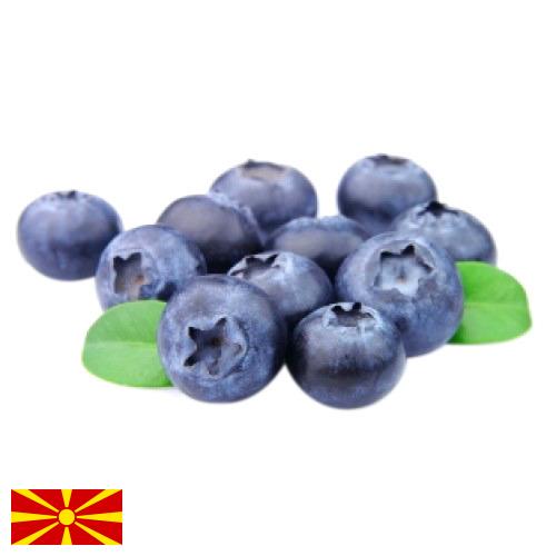 Черника из Македонии