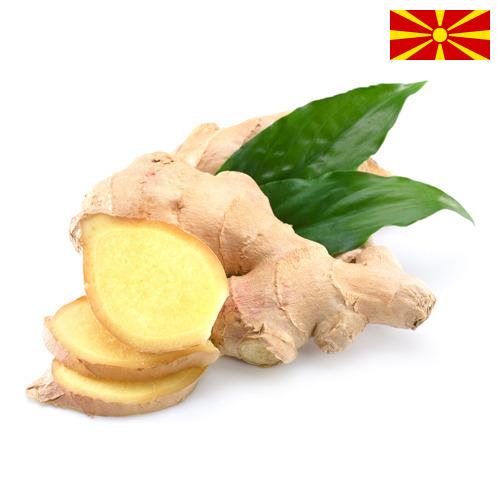 Имбирь из Македонии