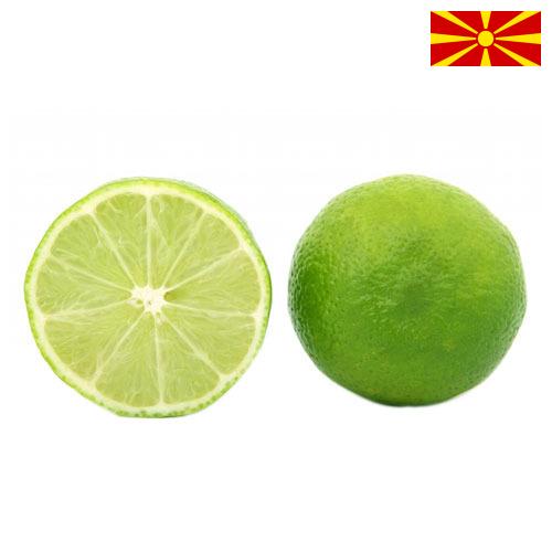 лайм из Македонии