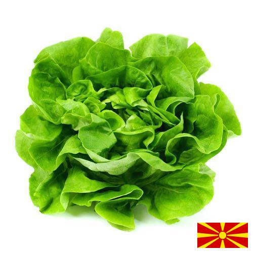 салат из Македонии