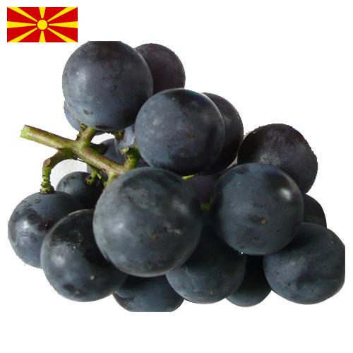 виноград столовый из Македонии