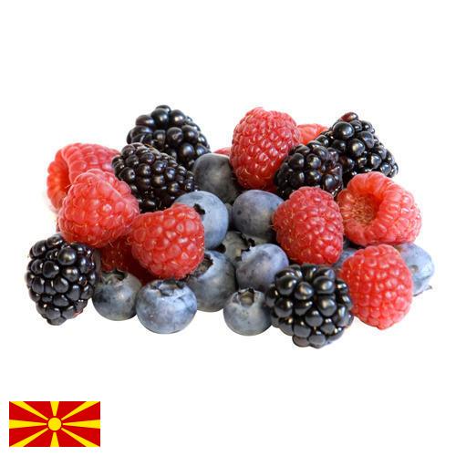 Ягоды замороженные из Македонии