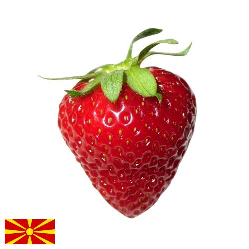 Земляника из Македонии