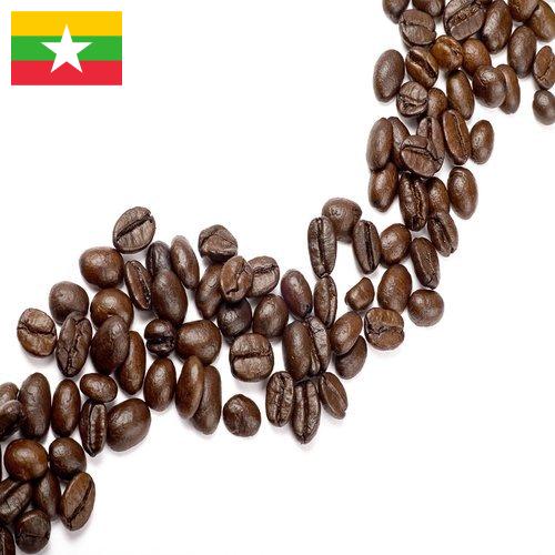 Кофе в зернах из Мьянмы