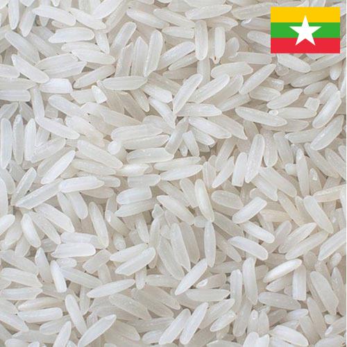 рис длиннозерный из Мьянмы