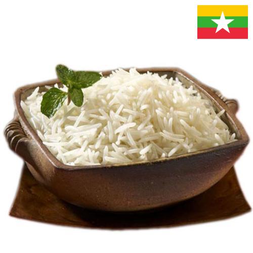рис пропаренный из Мьянмы