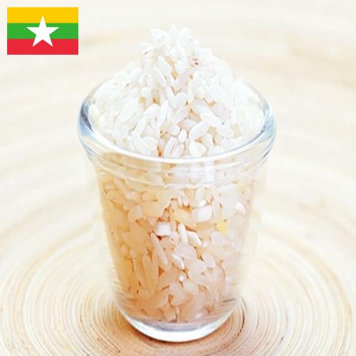 рис шлифованный из Мьянмы
