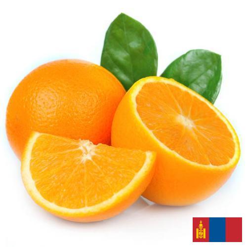 Апельсины из Монголии