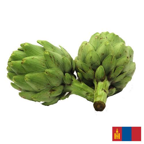 артишок из Монголии