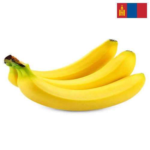 Бананы из Монголии