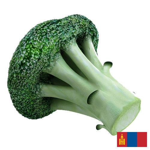 брокколи из Монголии