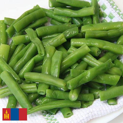 фасоль стручковая из Монголии