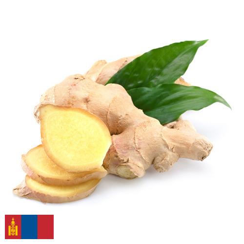 Имбирь из Монголии