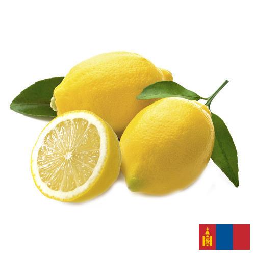 лимон свежий из Монголии