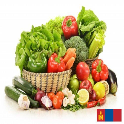 Овощи свежие из Монголии