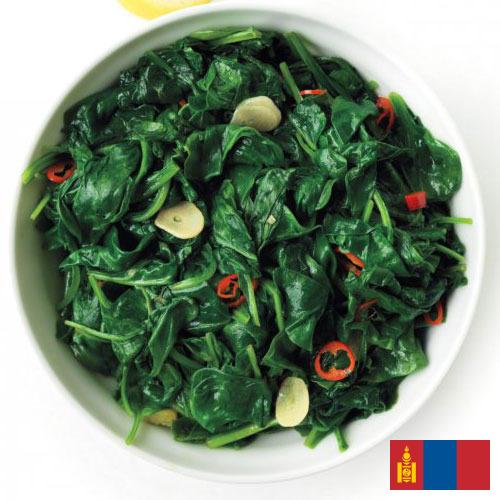 Шпинат из Монголии