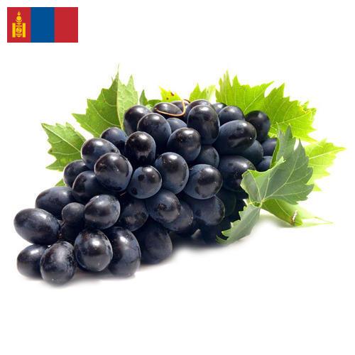 Виноград из Монголии