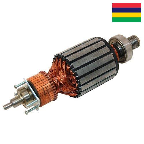 Арматура из Маврикия