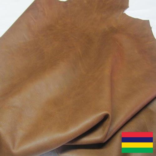 Замша из Маврикия