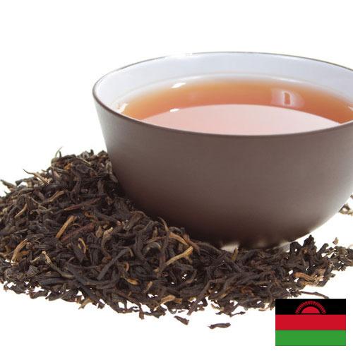 чай черный байховый из Малави