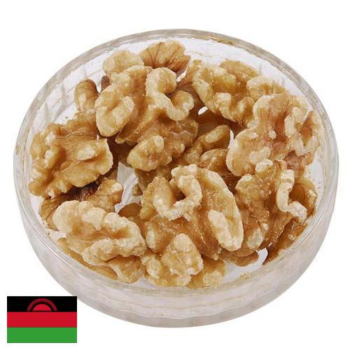 Ядра орехов из Малави