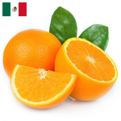 Апельсины из Мексики
