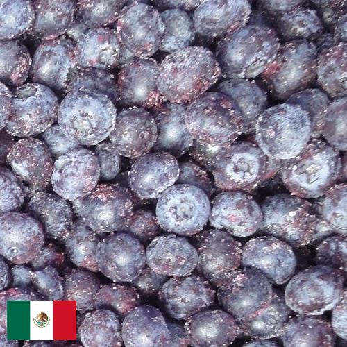 черника замороженная из Мексики