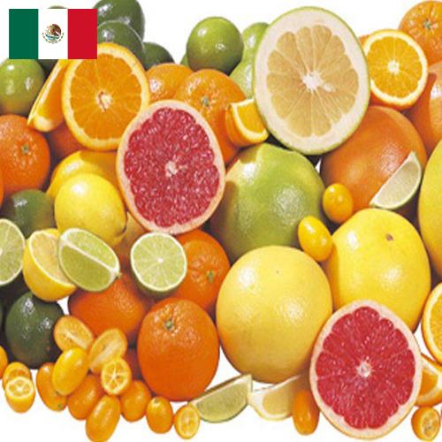 Цитрусовые фрукты из Мексики