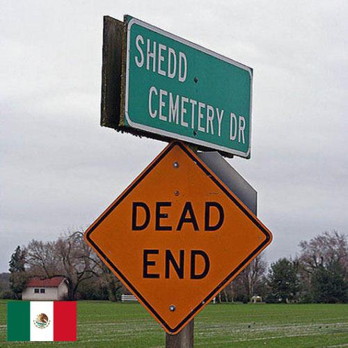 Дорожные знаки из Мексики