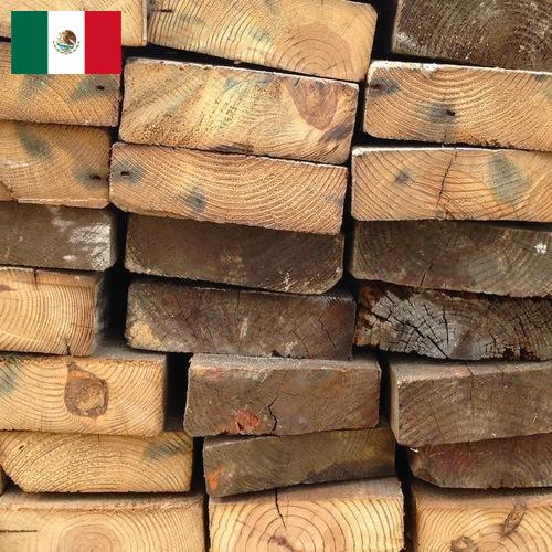 Древесина из Мексики