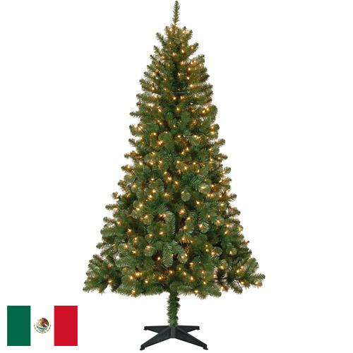 Елки новогодние из Мексики