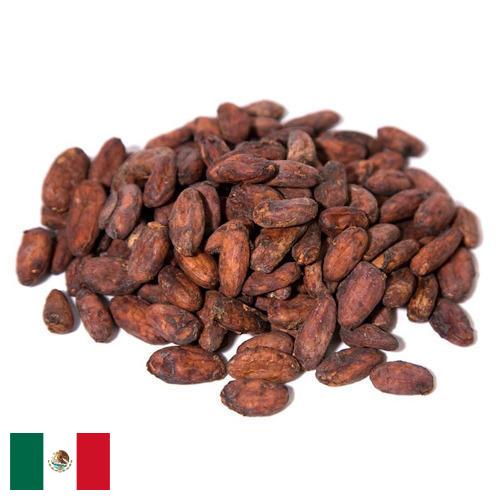 какао бобы из Мексики