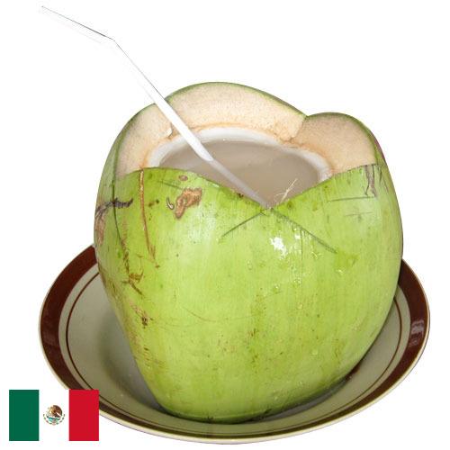 кокосовая вода из Мексики