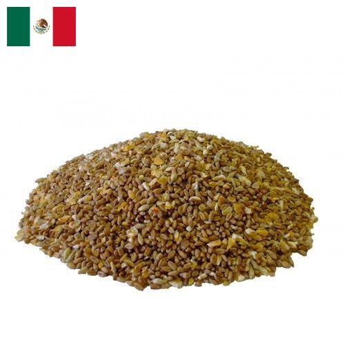 Корма для птицеводства из Мексики