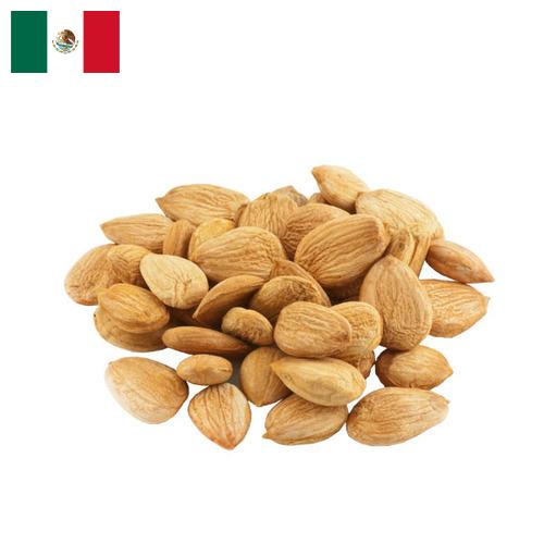 косточки абрикоса из Мексики