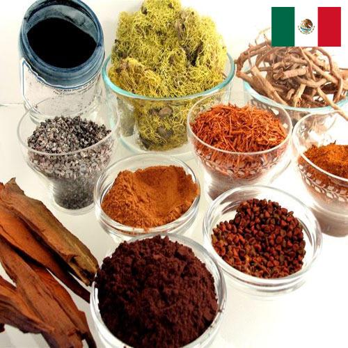 Красители натуральные из Мексики